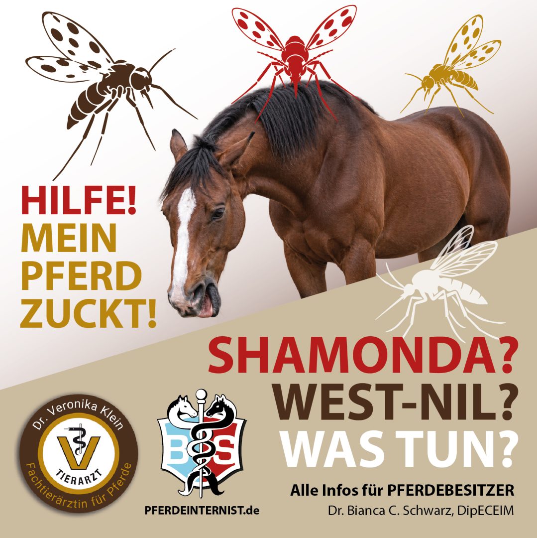 Hier geht es zum SHAMONDA Seminar für Pferdehalter