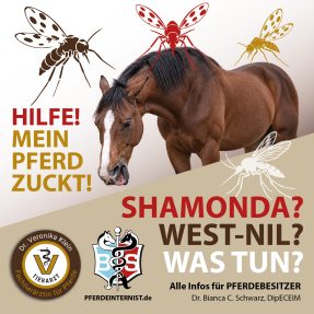 Hier geht es zum SHAMONDA Seminar für Pferdehalter